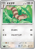 Furret