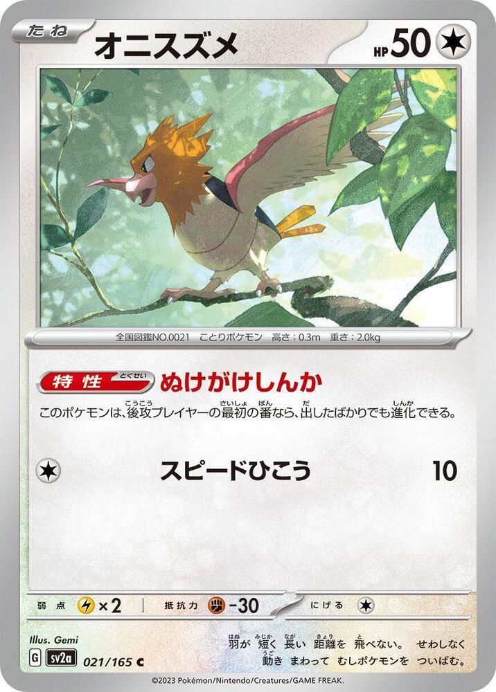 Spearow