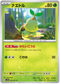Turtwig