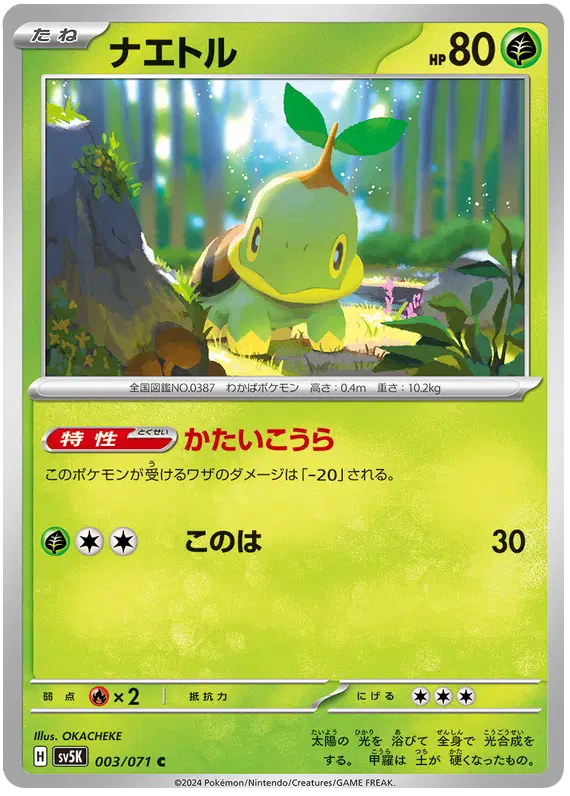 Turtwig
